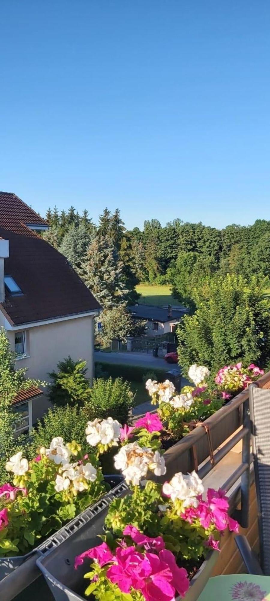 Ferienwohnung In Radeberg Bei Dresden Eksteriør billede